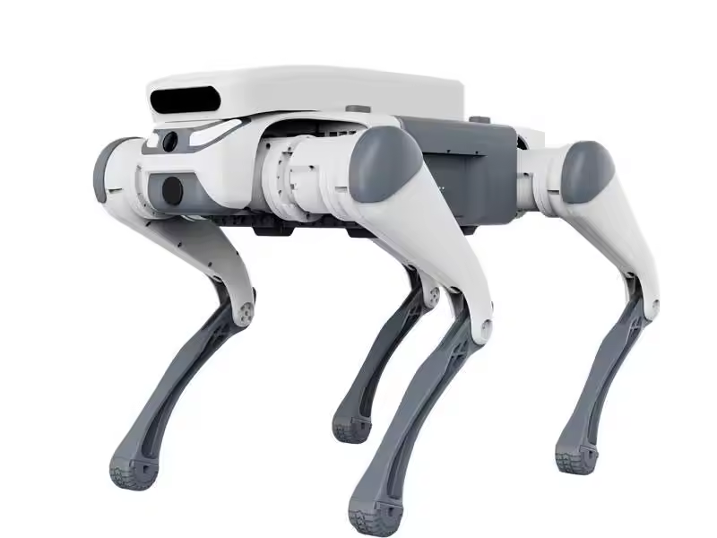 스턴트 원격 조종 교육용 장난감 지능형 급식기 터치 센 - Remote Control Toys 리뷰 및 가격