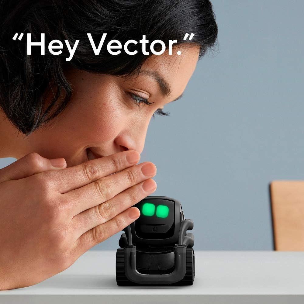 AI ChatGPT 2.0 연결형 로봇 동반자, 얼굴  - Remote Control Toys 리뷰 및 가격
